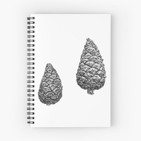 Item preview, Pine cones (Pinus brutia var. pityusa) designed and sold by Aleksandra Kabakova.