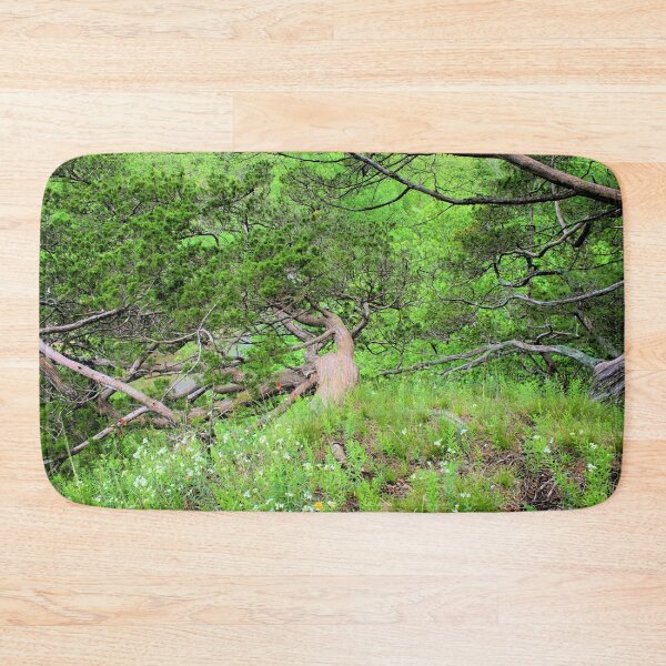 Item preview, Cedars and Wildflowers designed and sold by LynyrdSky.