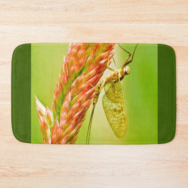 Item preview, WHY GRASSES MAY BE SO IMPORTANT designed and sold by NICK COBURN PHILLIPS.