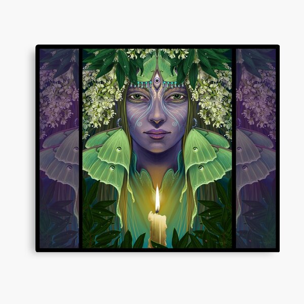 Luna Canvas Print
