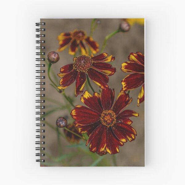 Artikelvorschau, Alle Blumen entworfen und verkauft von Charles & Patricia Harkins ~ Picture Oregon.