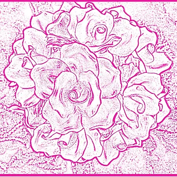 Artwork thumbnail, French Roses (pink) by Ann Kronick