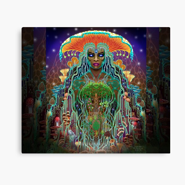 Mycelliana Canvas Print