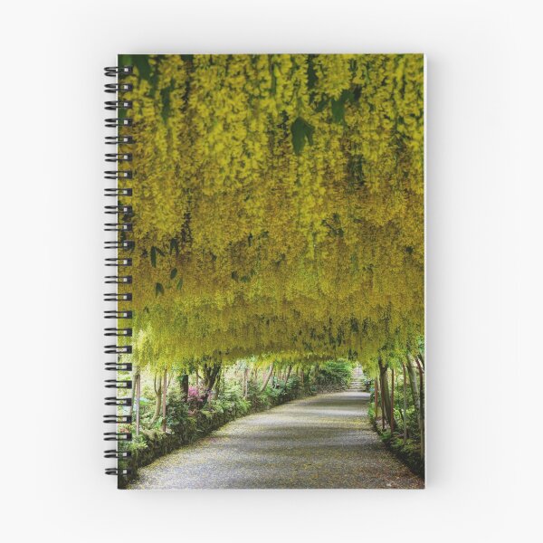 Item preview, Laburnam Arch Bodnant Gardens designed and sold by JohnYoung.