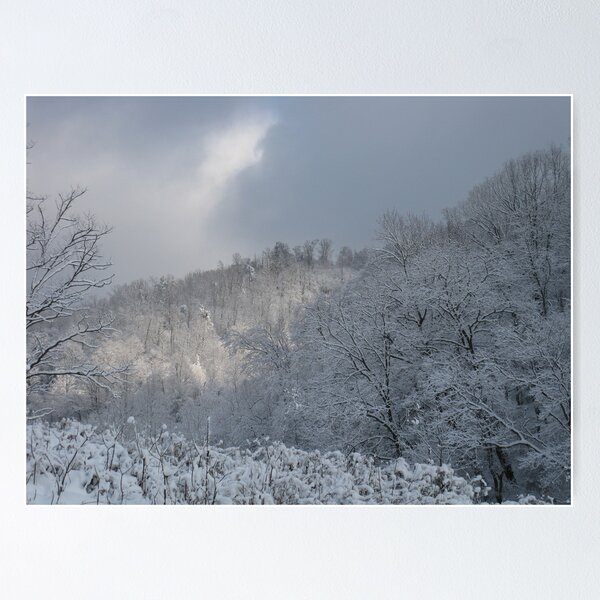 Item preview, Winter's Light designed and sold by Hank Eder.
