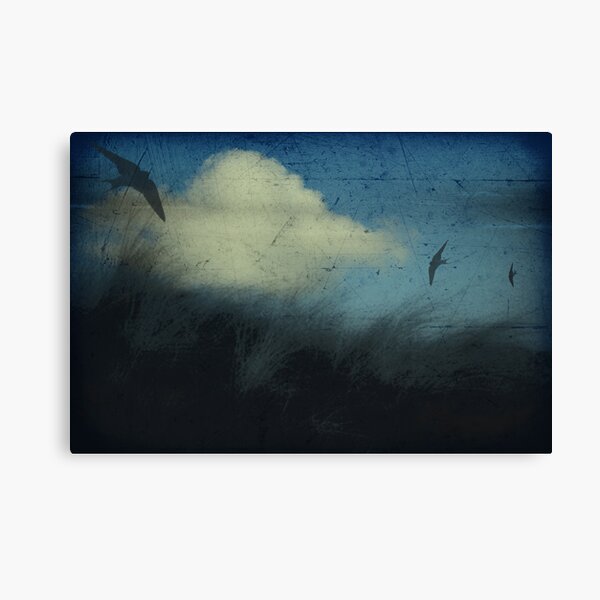 Aloft Canvas Print