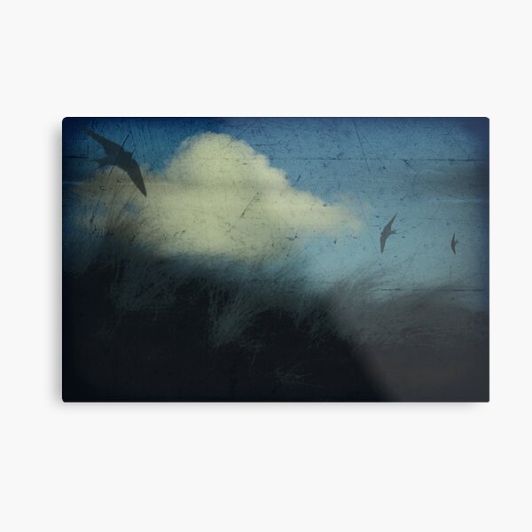 Aloft Metal Print