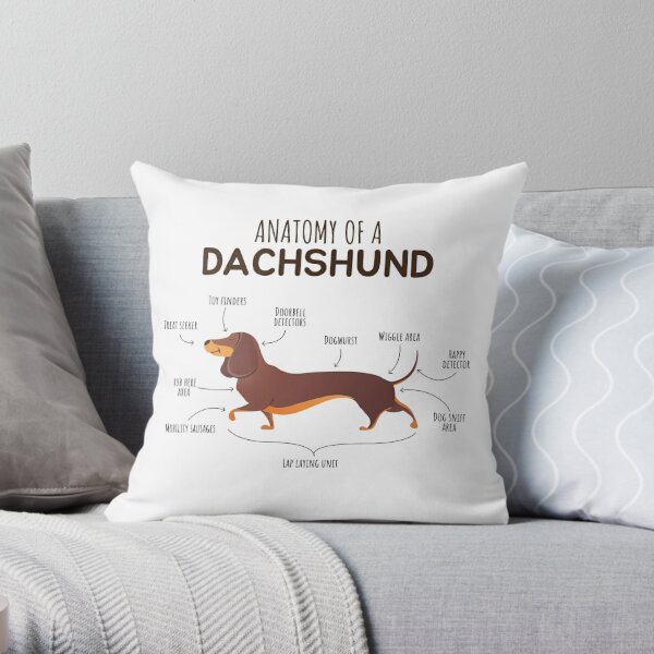 Anatomy Of A Dachshund Pet Lover  Throw Pillow