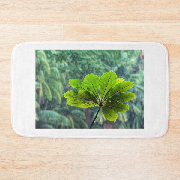 Item preview, Fern in Rain designed and sold by photograham.