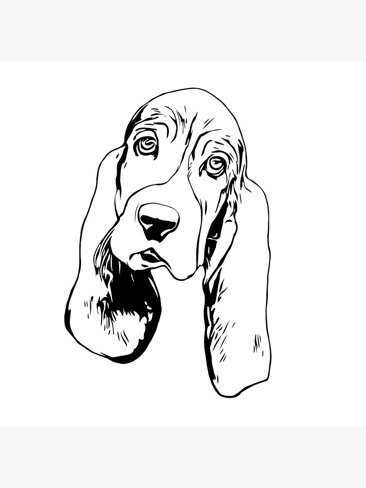 "Basset Hound Outline" Art Print by fionaviaje Redbubble