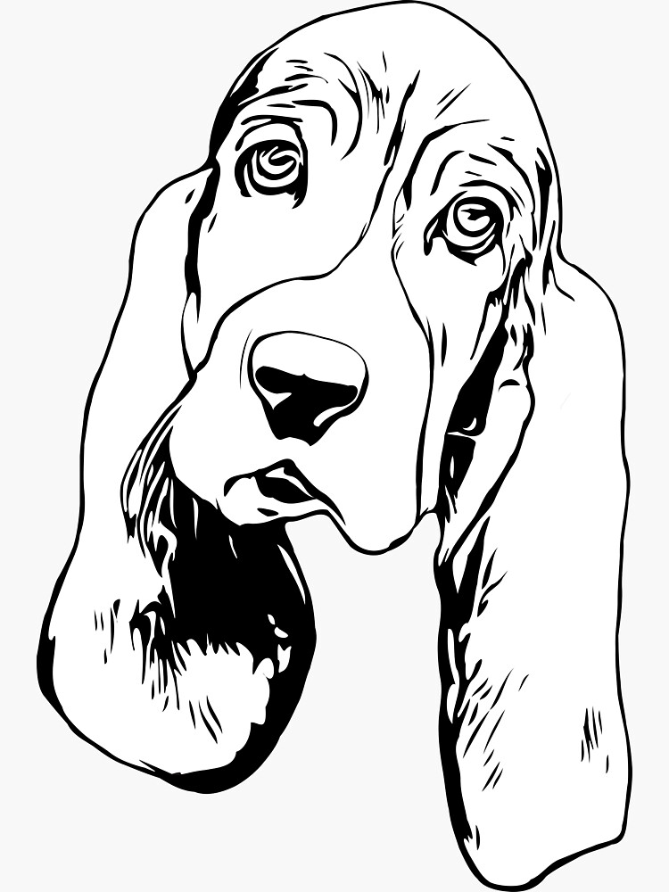 "Basset Hound Outline" Sticker for Sale by fionaviaje Redbubble