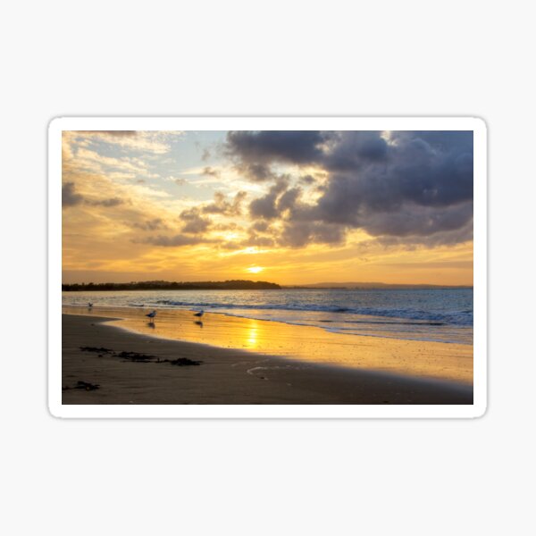 Item preview, Seagulls at Sunrise, Inverloch, Victoria designed and sold by ChristineJayne.