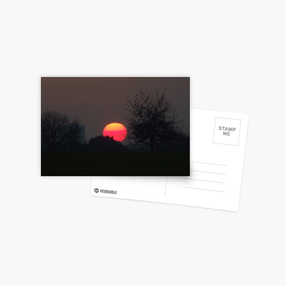 Sunset Calendar 03 Postcard