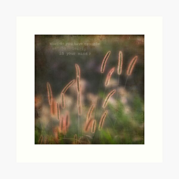 seeing clearly Art Print