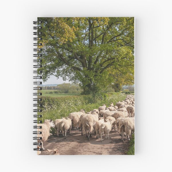 Item preview, Chipping Campden designed and sold by andrewroland.