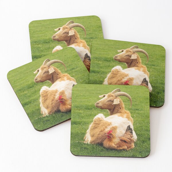 Item preview, Unlikely Friends designed and sold by Terri Waters Photography & Design.