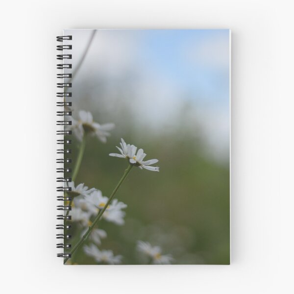 Item preview, Ox-Eye Daisies designed and sold by Roxyphotography.