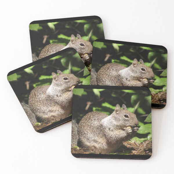 Item preview, Cute Squirrel Photo and Cell Phone Case designed and sold by deanworld.