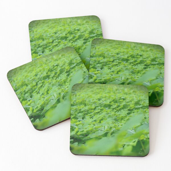 Item preview, Clovers  designed and sold by 2fedex2.