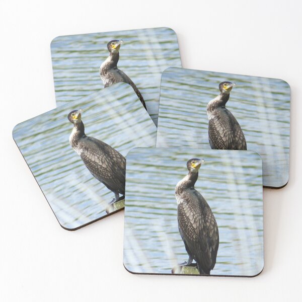 Item preview, Perching Cormorant designed and sold by Terri Waters Photography & Design.