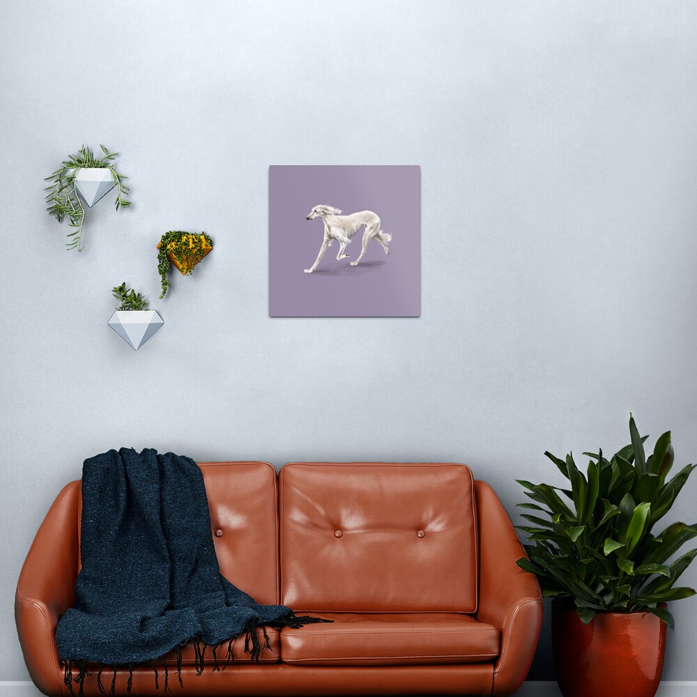 The Saluki Metal Print