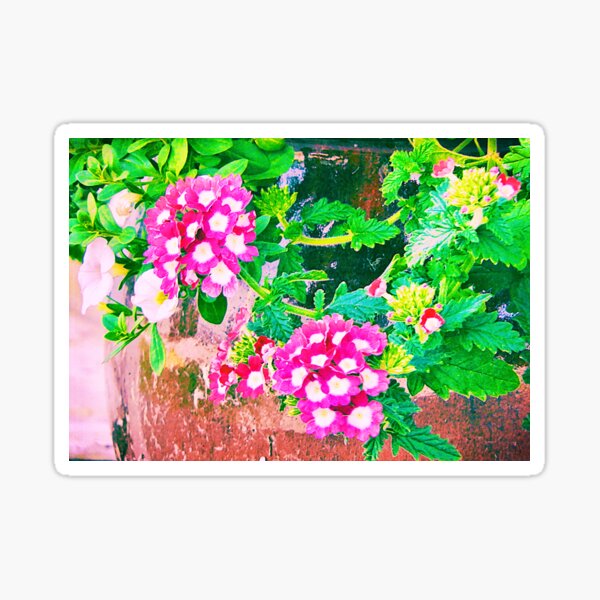 Potted Polka-dots! Sticker
