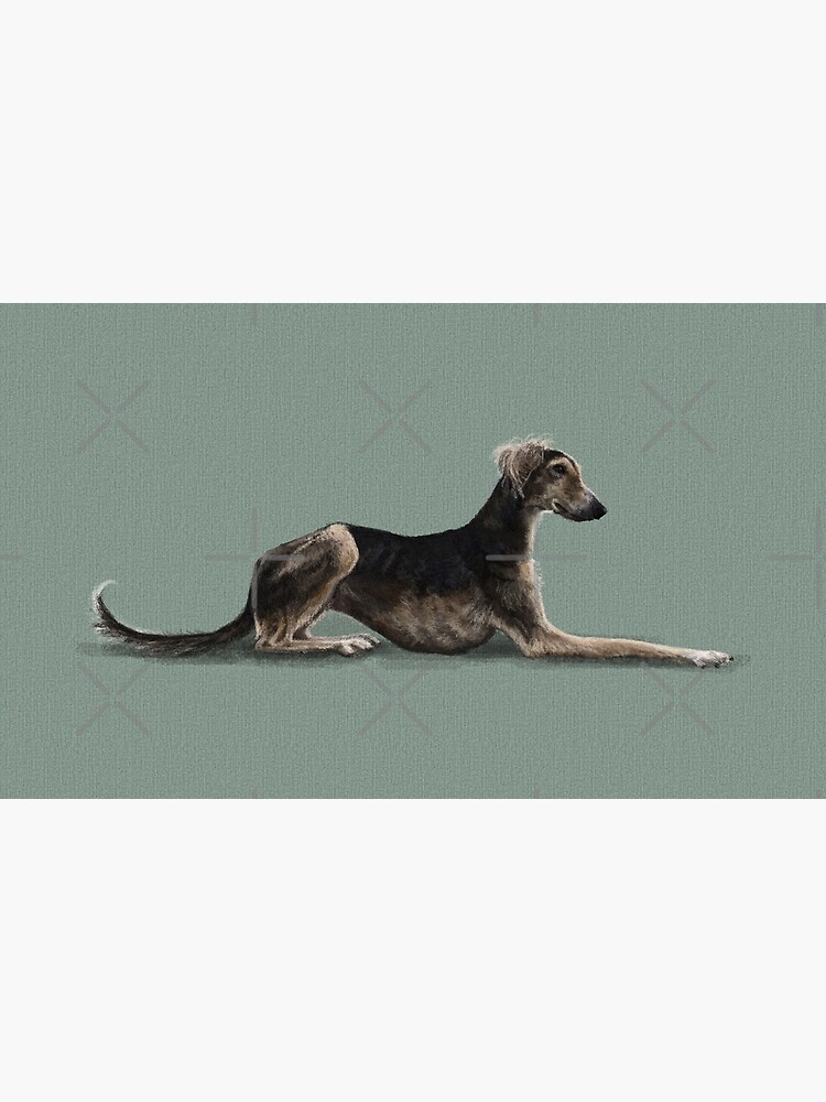 The Saluki by elspethrose