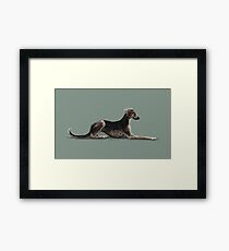 The Saluki Framed Print