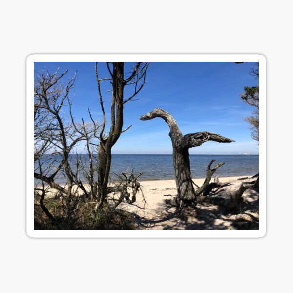 Item preview, Springer's Point Ocracoke Island, North Carolina Beach designed and sold by rachelhaak.