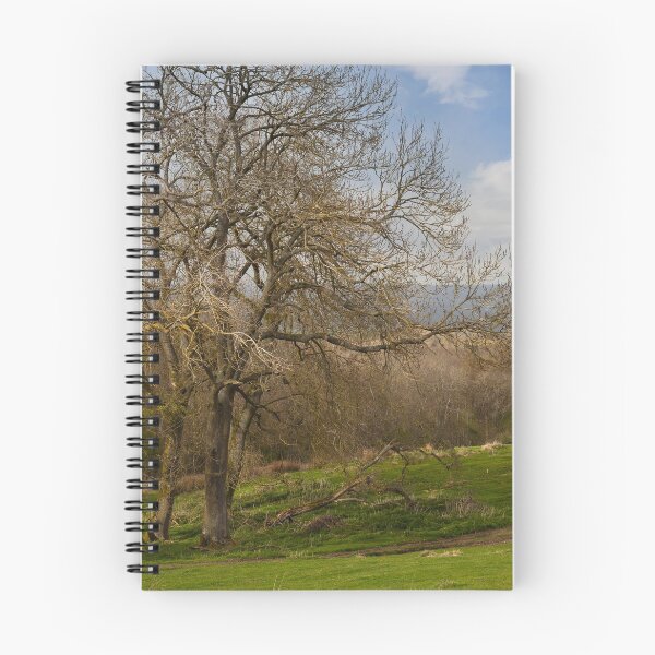 Item preview, Dover's Hill designed and sold by andrewroland.