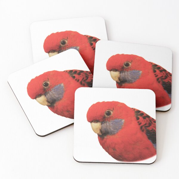 Item preview, Bobby The Crimson Rosella on Transparent Background designed and sold by Terri Waters Photography & Design.