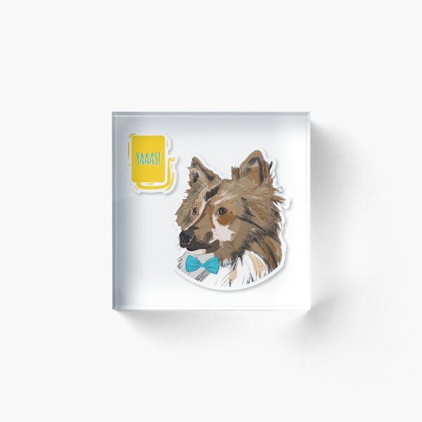 Hipster Sheltie "Yaaas!" Acrylic Block