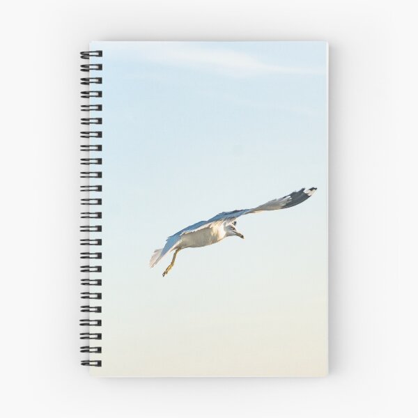 Item preview, Hovering Larus Californicus designed and sold by KensLensDesigns.