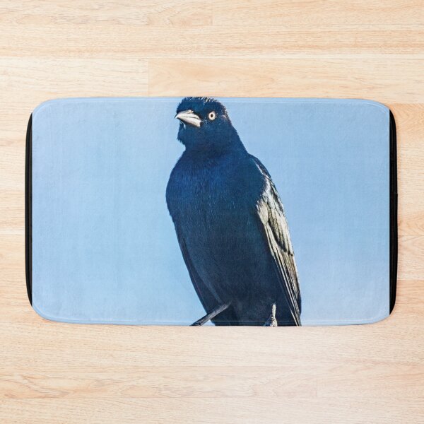 Item preview, Boat-tailed Grackle 2 designed and sold by KensLensDesigns.