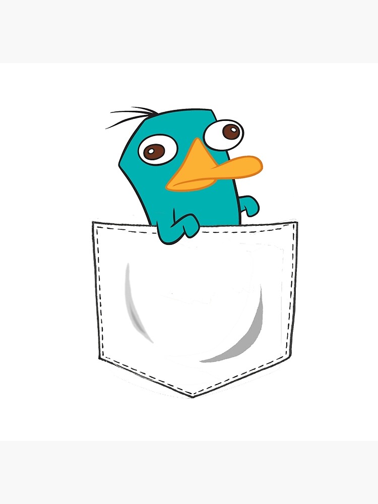 perry the platypus pillow