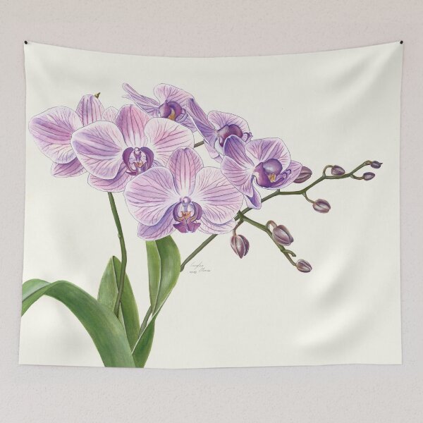Item preview, Purple Phalaenopsis Orchid traditional illustration designed and sold by Elena Casiglio.