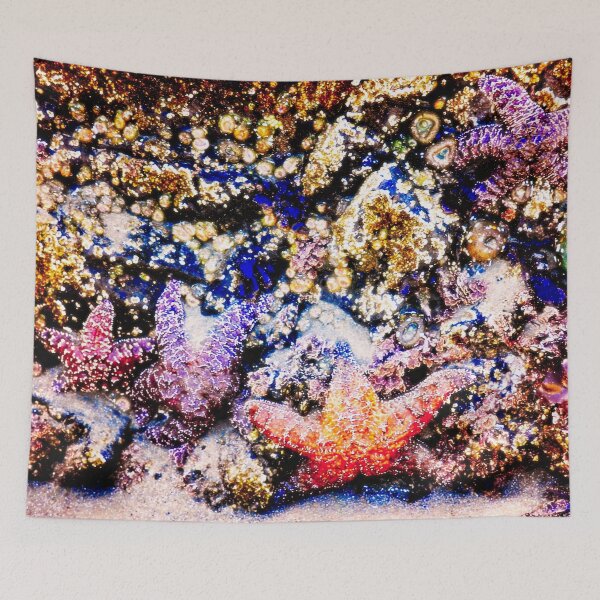 Item preview, Cape Perpetua - Sea Star Stars designed and sold by IMAGETAKERS.
