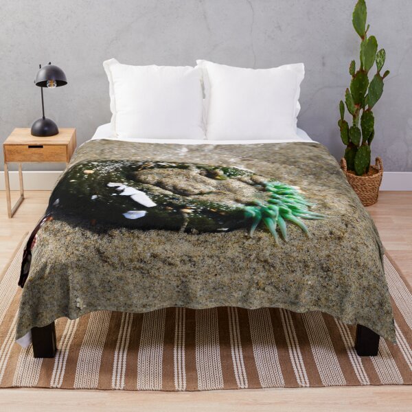 Item preview, Cape Perpetua - Sea Anemone designed and sold by IMAGETAKERS.