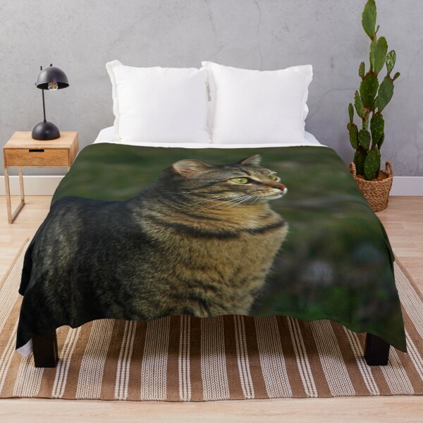 Item preview, Related to the Lion designed and sold by Nerone.