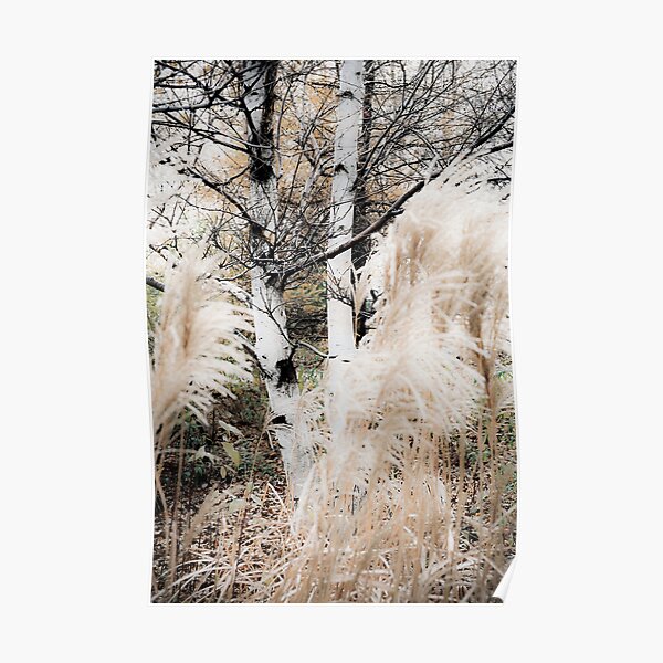 A Cold Wind Poster