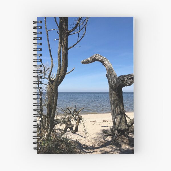 Item preview, Springer's Point Ocracoke Island, North Carolina Beach designed and sold by rachelhaak.