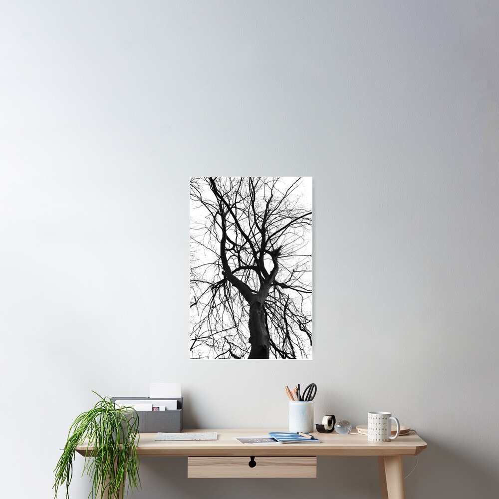 Artikel-Vorschau von Poster, designt und verkauft von NicolettasShop.