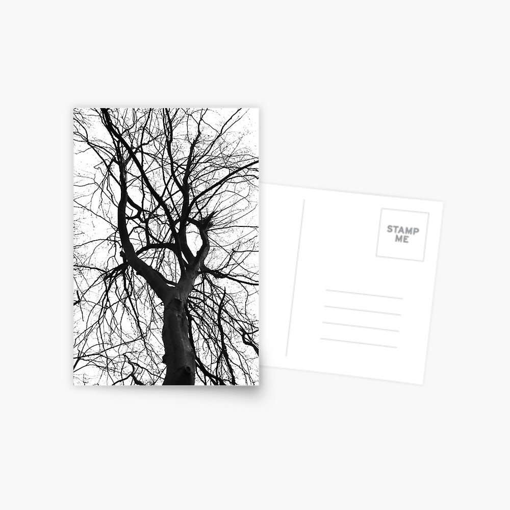 Artikel-Vorschau von Postkarte, designt und verkauft von NicolettasShop.