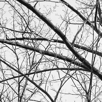 Vorschaubild zum Design aza's trees #5 von Nicolettas Shop