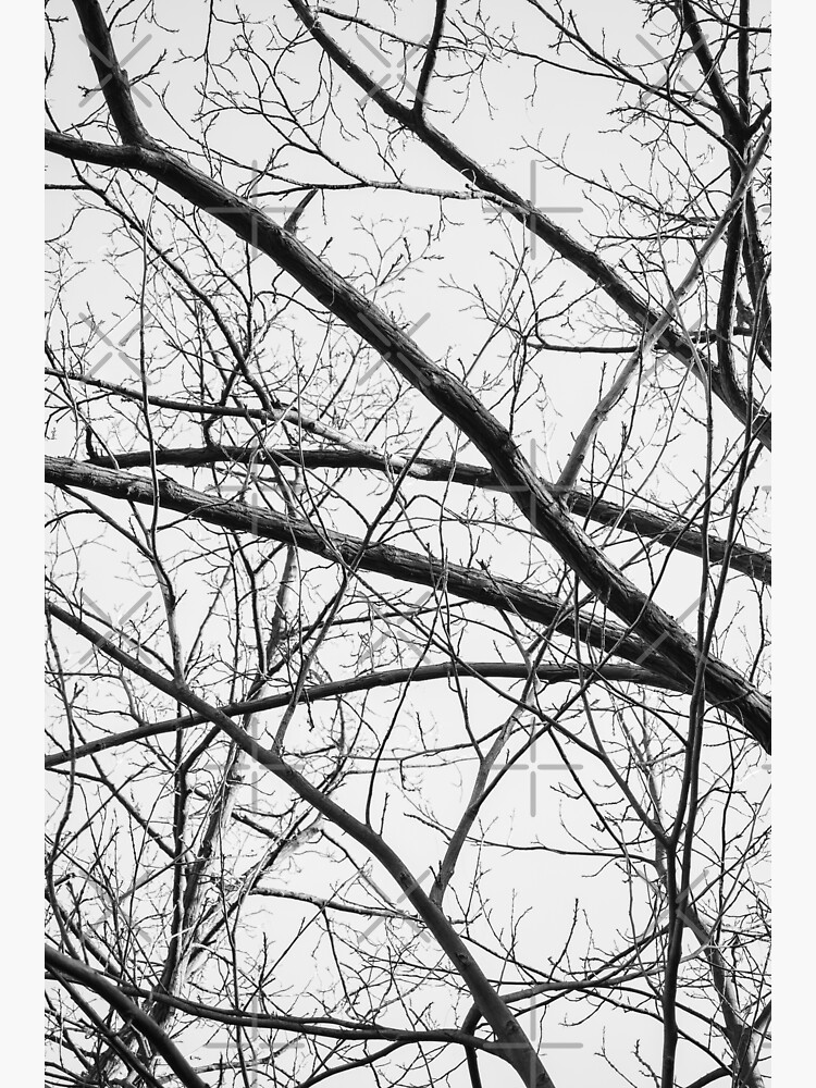 Thumbnail 3 von 3, Sticker, aza's trees #5 designt und verkauft von NicolettasShop.