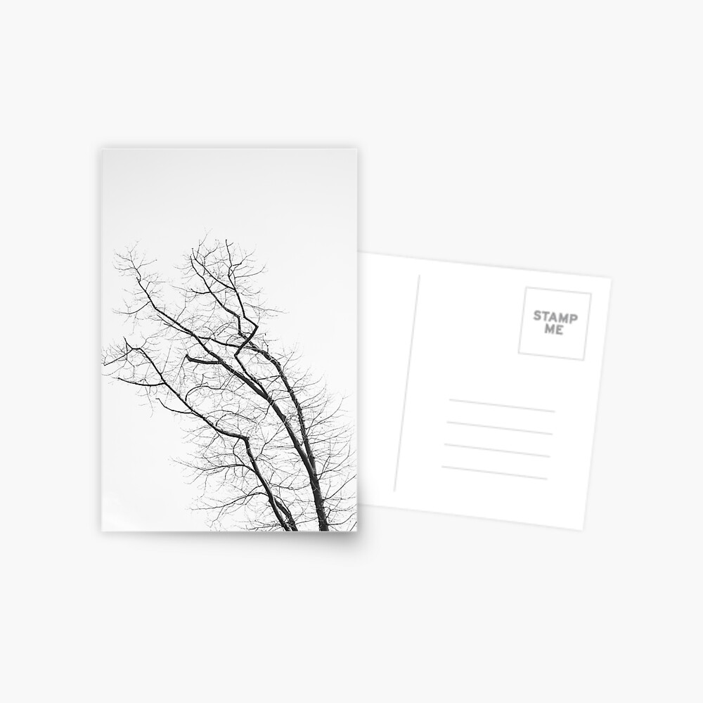 Artikel-Vorschau von Postkarte, designt und verkauft von NicolettasShop.