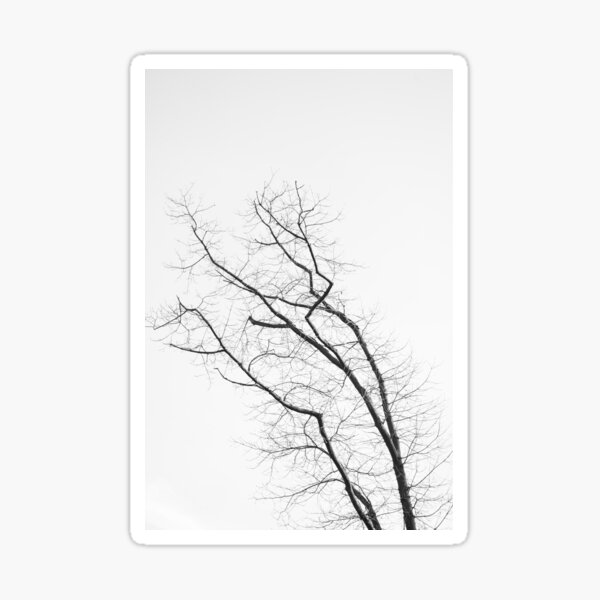 aza's trees #6 Sticker