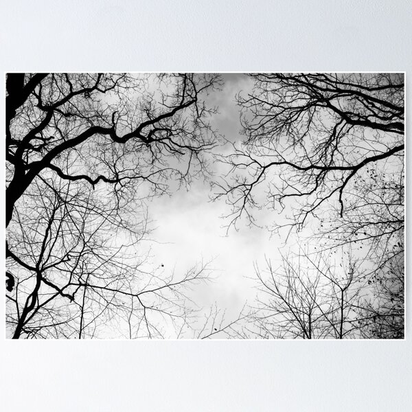 aza's trees #7 Poster