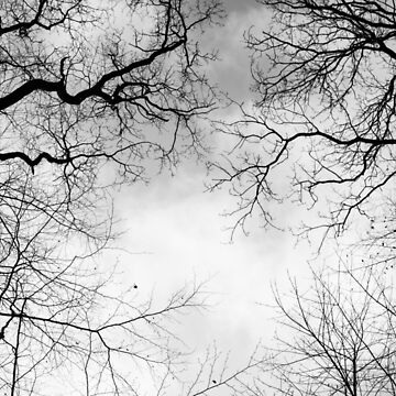 Vorschaubild zum Design aza's trees #7 von Nicolettas Shop