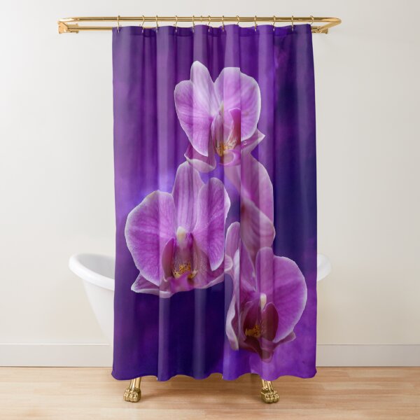 Duschvorhang orchidee - Der Gewinner unserer Tester